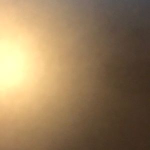 Meet your Posher, Bryant